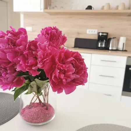 Royal - Minceta דירה *